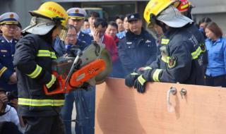 315打假的产品有哪些