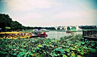 穗是哪个城市的简称