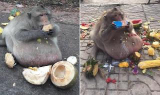 坐在叔叔那里写作业